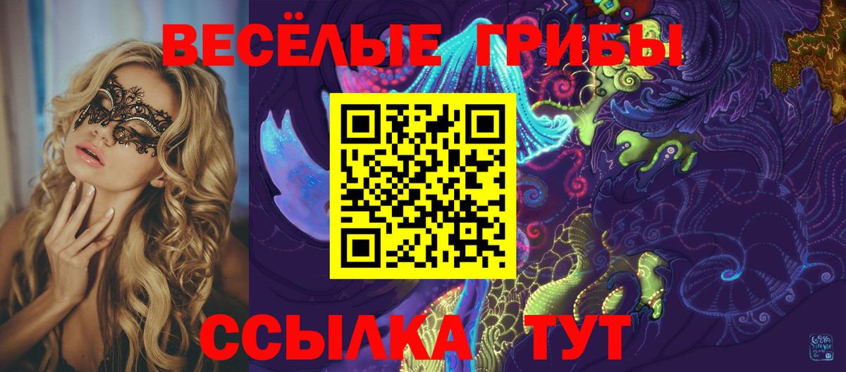 Псилоцибиновые грибы Psilocybe  Вход с VPN  Новоуральск 
